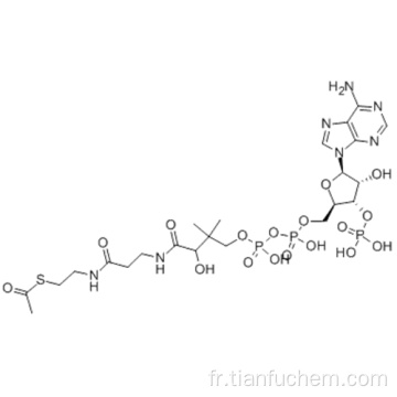 Coenzyme A, S-acétate, sel trisodique CAS 102029-73-2